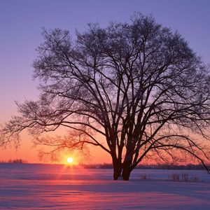 等我把养的人养大