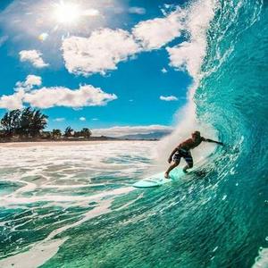 相逢自有时 一朝相识百日思