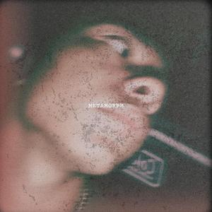 METAMORPH