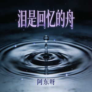 泪是回忆的舟