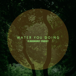 Water You Doing
