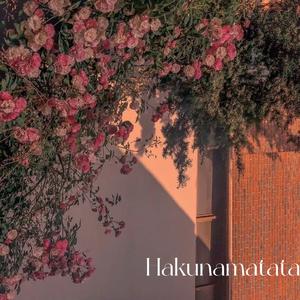 山雀（cover：万能青年旅店）