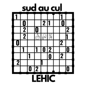 Sud au cul