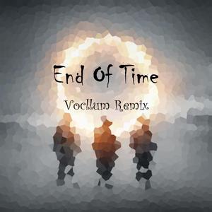 Alan Walker-End Of Time（Vocllum remix）