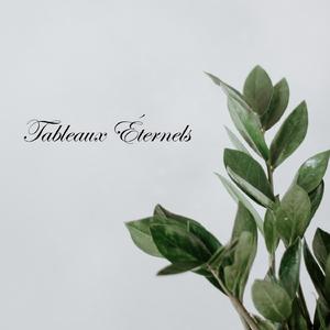 L’hiver a Cessé (with Lorin Shalanko)