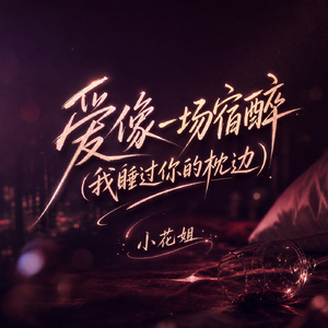 爱像一场宿醉(我睡过你的枕边)