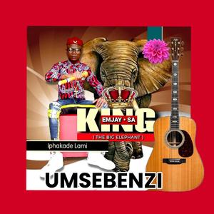 SIYAFANELANA (Radio Edit)