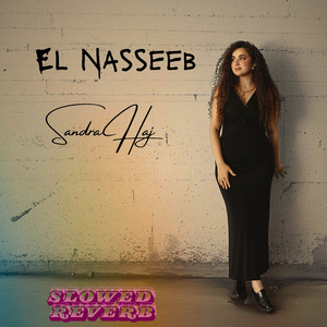 El Nasseeb (Slowed Reverb)