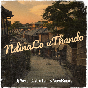 Ndinalo uThando