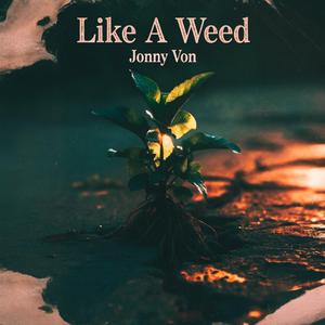 Like a Weed (Acoustic)