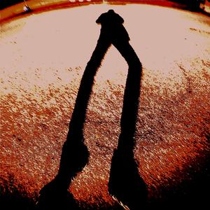 The song of the sirens