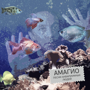 Покоритель зари