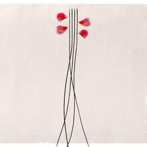 Dassin le séducteur (Et si tu n'existais pas/L'été indien/L'Amérique/Les Champs Élysées/Le café des trois colombes/Si tu t'appelles mélancolie/Le petit pain au chocolat/Le moustique/Dans les yeux d'Émilie)