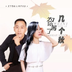 为你等了几个秋