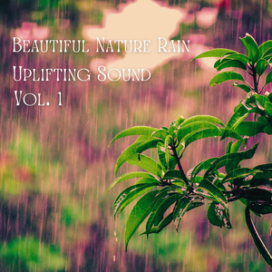 Beautiful Nature Rain Uplifting Sound Vol. 1 - 3 Hours