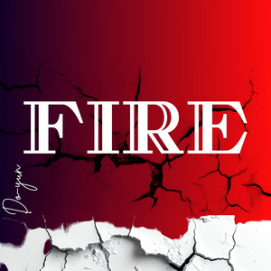 FIRE (心火)