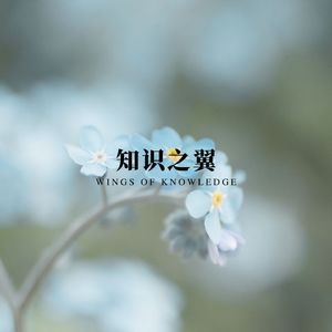 笔墨轻舞 (学习刷题专用)