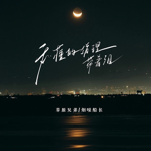 我懂的道理带着泪 (嘟嘟语录版)