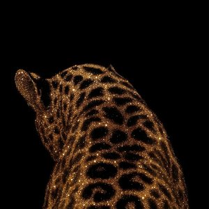 DJ-蹦吧啦-AK.mp3（￴￴￴￴ remix）