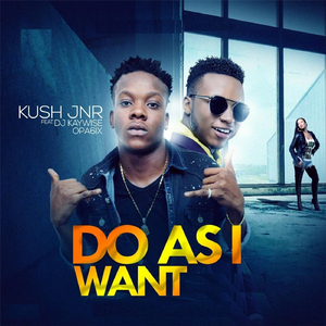 Do as I Want (feat. DJ Kaywise & Opa6ix)