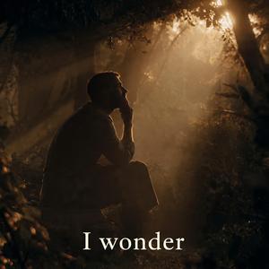 I wonder