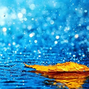 寒雨思