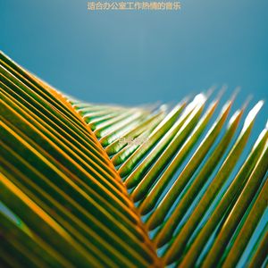 适合办公室工作天然的音乐
