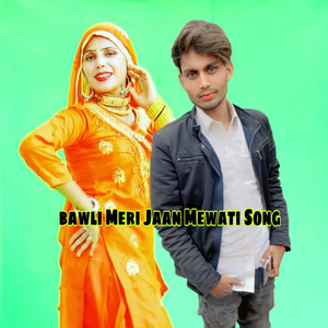 Bawli Meri Jaan Mewati Song