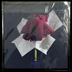 不要再说爱我（88Mua）