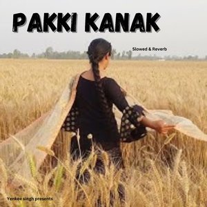 Pakki kanak (Slowed & Reverb)