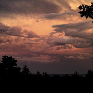 Insurance (Rain Reprise)