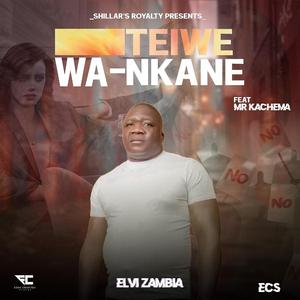 Teiwe wankene (feat. Mr Kachema)