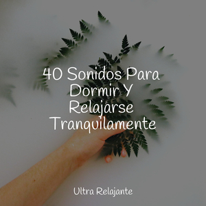 Deslizamientos De Hielo