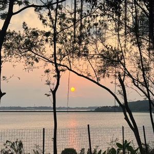 黍油麦秀