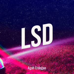 Lsd