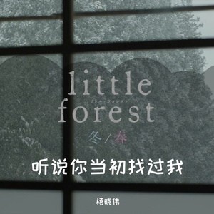 听说你当初找过我（翻自 贺一航）