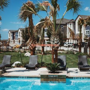 正在学习愉悦的轻音乐