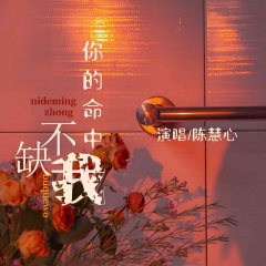 你的命中不缺我