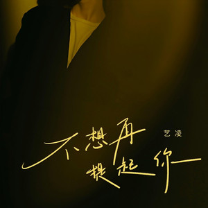 不想再提起你