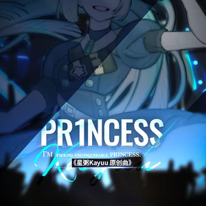 PR1NCESS (Explicit) 伴奏