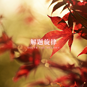 刷题狂人 (深夜阅读音乐)