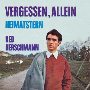 Heimatstern (Mono Single Mix)