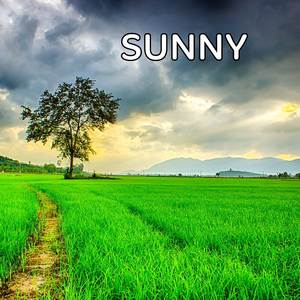 Sunny
