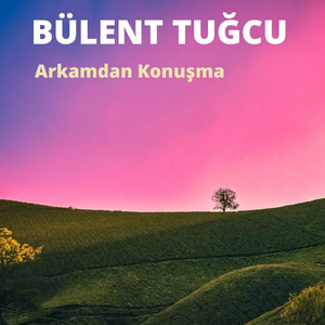 Darısı Başınıza