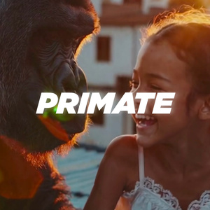 Primate
