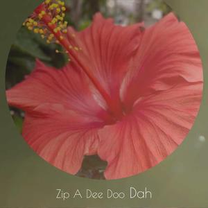 Zip A Dee Doo Dah