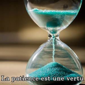 La patience est une vertu
