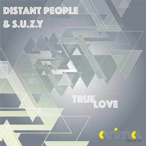True Love (Instrumental Mix)