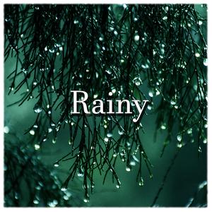 Rain for a Sad Day