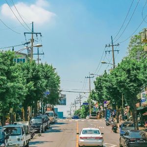 The Cure【cover：Lady Gaga】